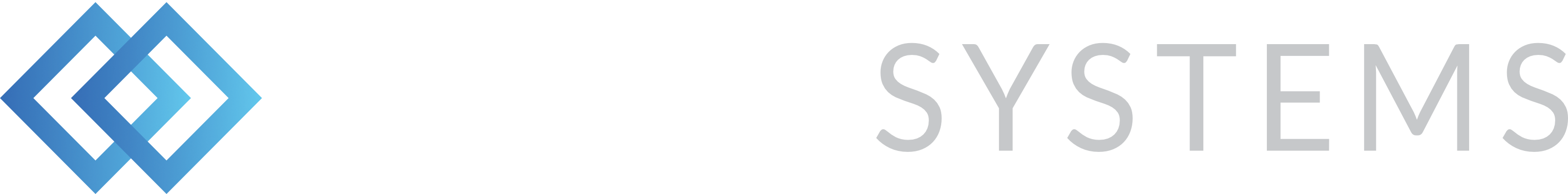 Werth Systems Logo white grey